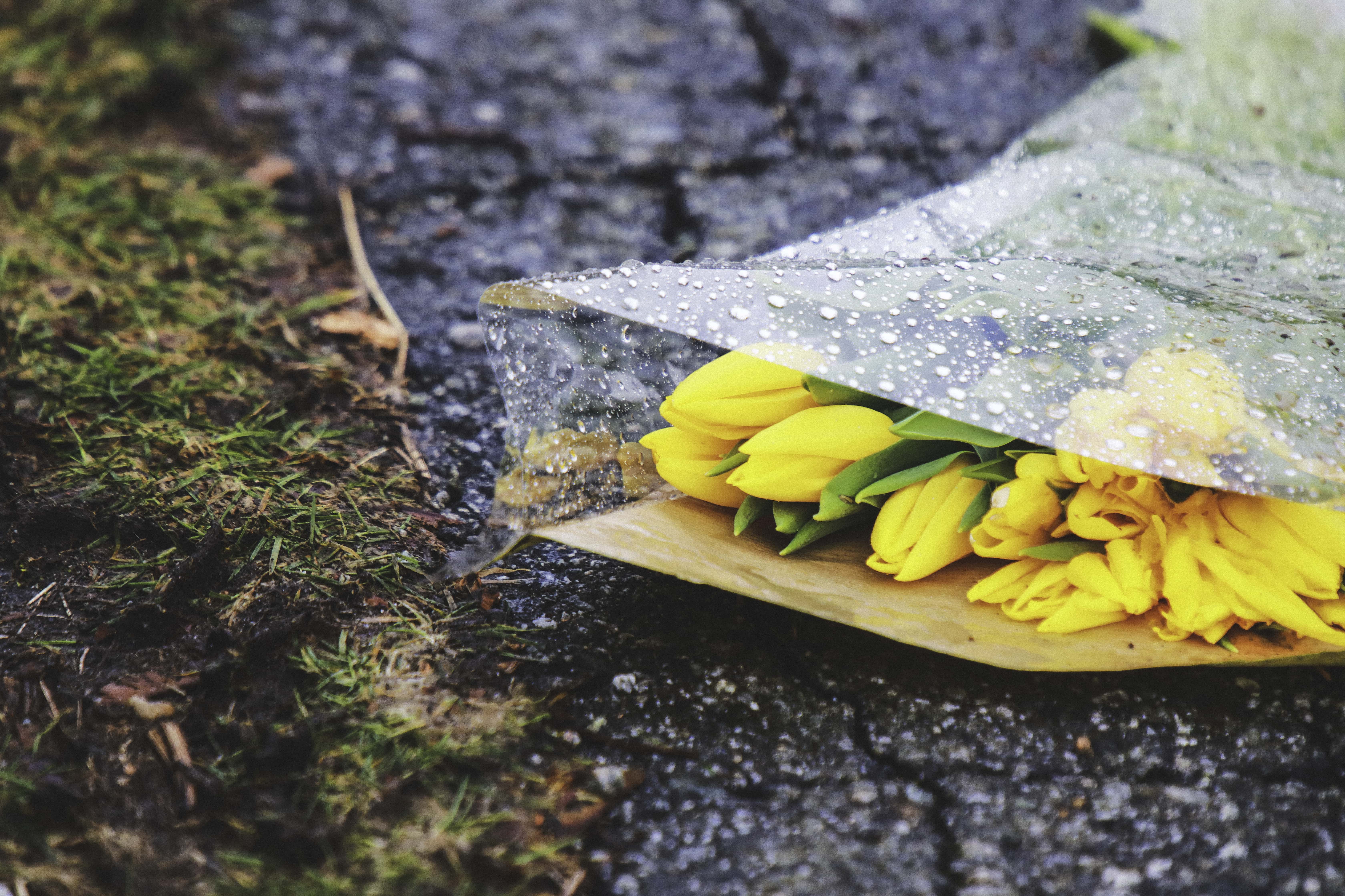 Is a Rainy Wedding Day Really a Blessing in Disguise? image